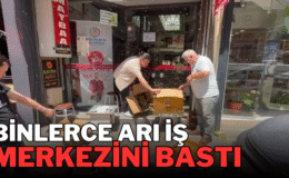 Binlerce arı iş merkezini bastı