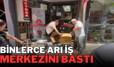 Binlerce arı iş merkezini bastı