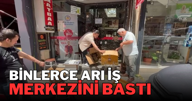 Binlerce arı iş merkezini bastı