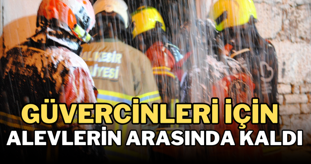 Güvercinleri için alevlerin arasında kaldı