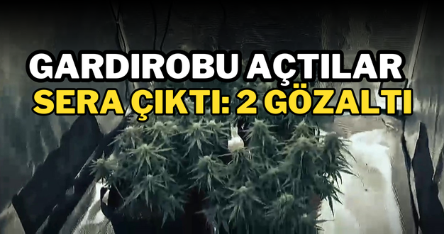 Gardırobu açtılar sera çıktı: 2 gözaltı