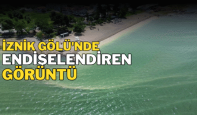 İznik Gölü’nde endişelendiren görüntü