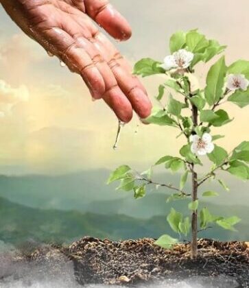 “Yeşil bir geleceğin tohumu, köylünün yüreğinde filizlendi.”