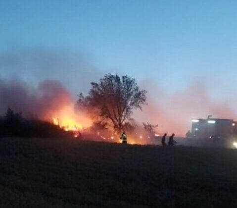 Tekirdağ’da Kır Düğününden Atılan Havai Fişek Buğday Tarlasını Yaktı