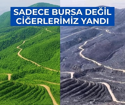 “Yediğimiz Her Meyve Geleceğin Ormanıdır!”