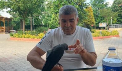 Aç ve susuz kalan yavru kargayı elleriyle besledi