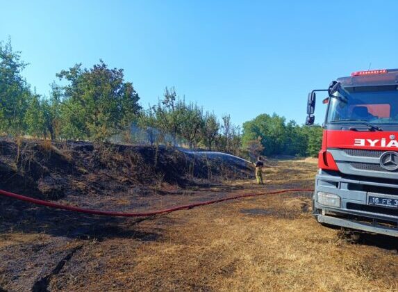Bursa’da orman yangını