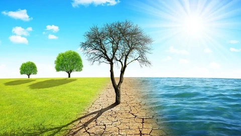 Anahtar Parti’den İklim Kanunu’na Sert Tepki: “Bu Yasa Bir Denetim ve Tahakküm Dayatmasıdır!”