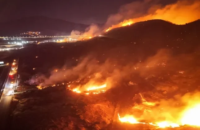 Askıda İzmir’den Sert Çıkış: “Ormanlar Yanmıyor, Umutlarımız Kül Oluyor! Herkes Harekete Geçmeli!”