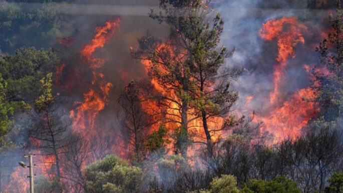 Bir Yudum Suya Düşen Helallik: Bursa’daki Yangın Ekiplerinden Gönüllere Dokunan Davranış