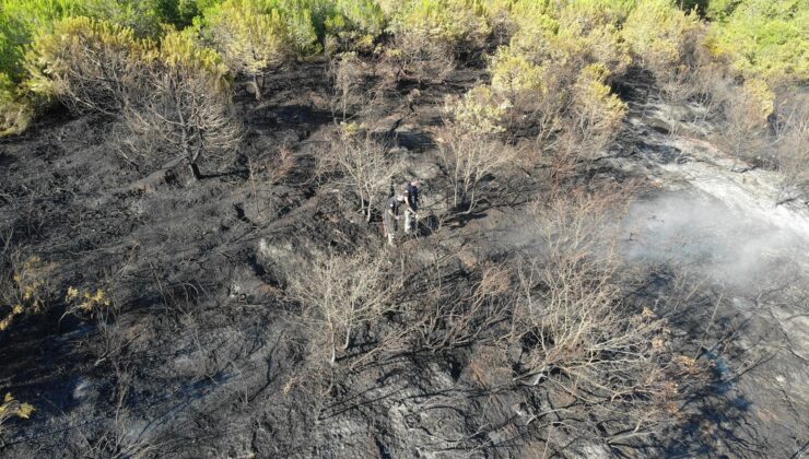  Kocaeli’deki orman yangını 1 saatlik müdahaleyle kontrol altına alındı