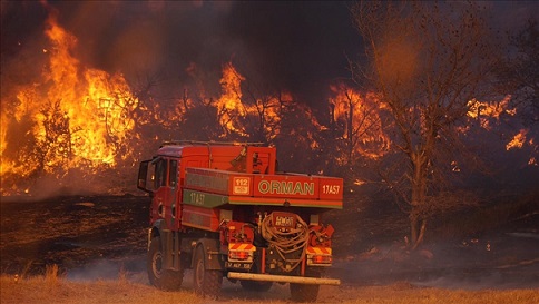 Türk Kamu-Sen Bursa İl Teşkilatlarından Orman Teşkilatına Teşekkür ve Başsağlığı Ziyareti