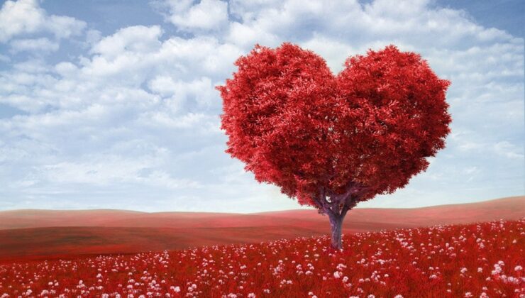 “Bugün Bir Öğrencim Kalbime Dokundu!”