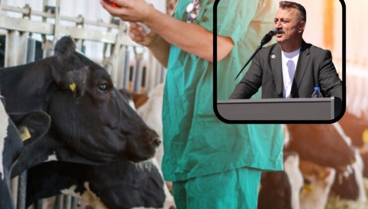 Fikret Aslan: Şap krizi ile ülkeye 5 Milyar dolar zarar verildi