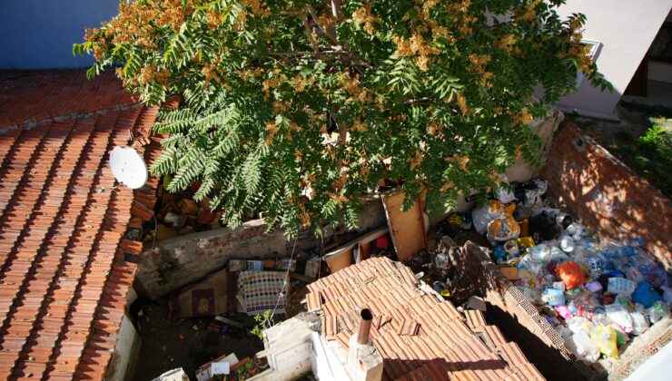 Edirne’de mahallede fare paniği