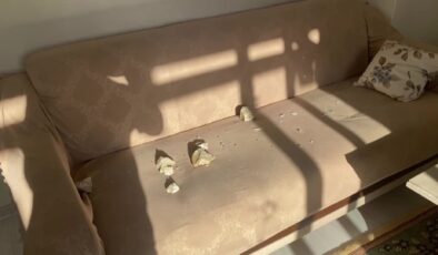 Ümraniye’deki kontrollü patlamanın anı ortaya çıktı