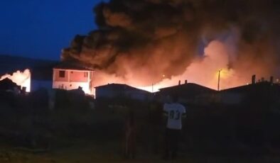 Gelibolu’da hurdalıkta çıkan yangın evlere sıçradı