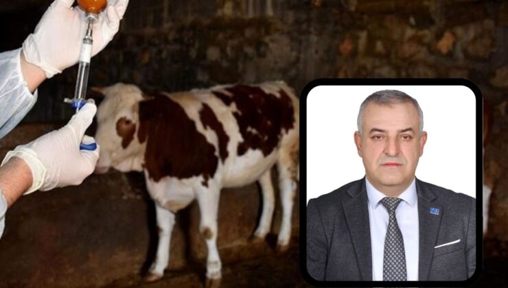 A Parti Mustafakemalpaşa’dan şap hastalığı açıklaması: “Görülmemiş olay”