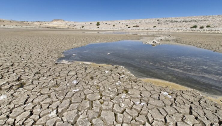 Bursa Ovası’ndan Yükselen Çığlık: “Sudan İbarettik, Suyu da Tükettiler!”