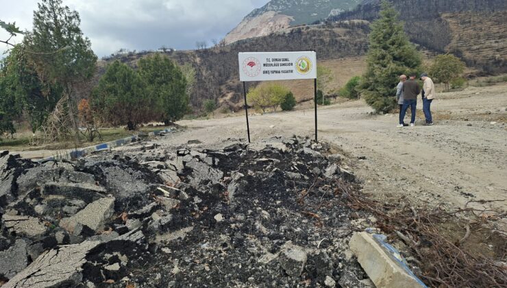 Gözümüzü Boyamak İçin Ağaçlandırma Yapacaklar!