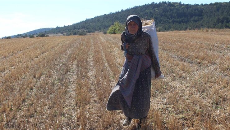 “Köylü Üretmezse, Şehir Aç Kalır!”