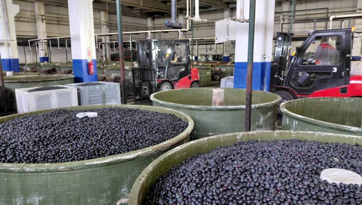 İYİ Parti İznik Teşkilatı’ndan Marmarabirlik’e Ziyaret: “Zeytinde Güçlü İznik Vurgusu”