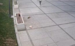 Hem temizlediler hem de ceza yediler