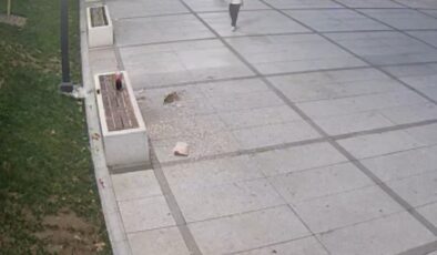 Hem temizlediler hem de ceza yediler