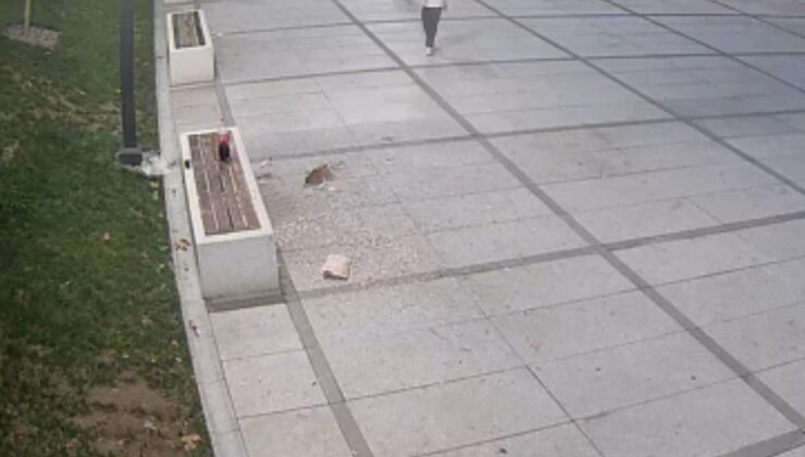 Hem temizlediler hem de ceza yediler