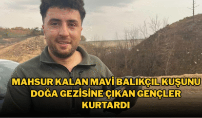 Mahsur kalan mavi balıkçıl kuşunu doğa gezisine çıkan gençler kurtardı