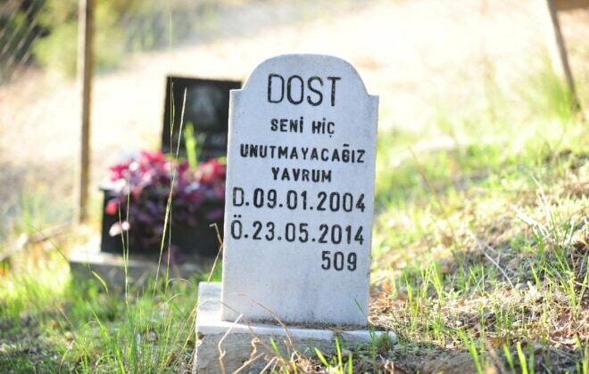 “Bu ülkenin sokakları masumların mezarlığı olmayacak!”