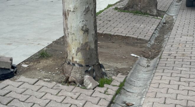 Çöpe atmak için yerden aldığı kargo poşetinin içinden 60 bin dolar çıktı