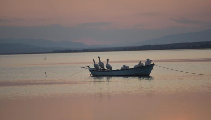 Karacabey’de çeltik ekimi yasaklandı