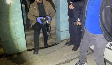 Eve yapılan baskında cephanelik çıktı, arama sırasında polise saldırdılar