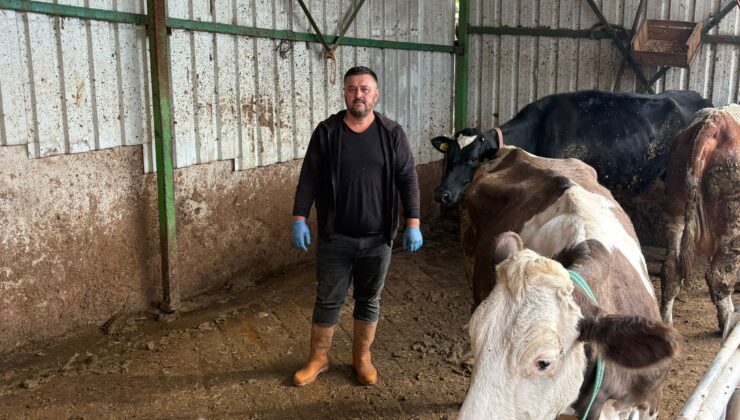 Demirköy’de hamsi denetimi