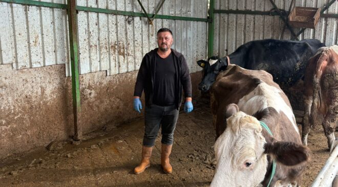 Şap hastalığına bir hayvanını daha verdi