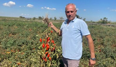 Dedesi seçimde muhtar oldu adına “Seçim” konuldu