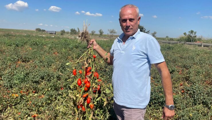 Dedesi seçimde muhtar oldu adına “Seçim” konuldu