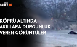 Köprü altında akıllara durgunluk veren görüntüler