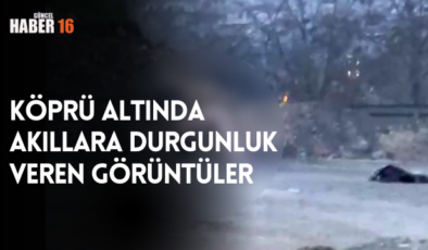 Köprü altında akıllara durgunluk veren görüntüler