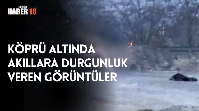 Köprü altında akıllara durgunluk veren görüntüler