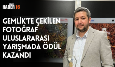 Gemlik’te çekilen fotoğraf uluslararası yarışmada ödül kazandı.