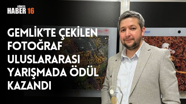 Gemlik’te çekilen fotoğraf uluslararası yarışmada ödül kazandı.