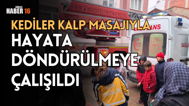 Kediler kalp masajıyla hayata döndürülmeye çalışıldı