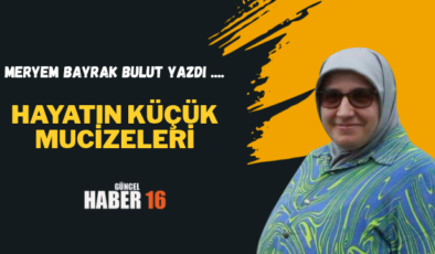 Hayatın Küçük Mucizeleri