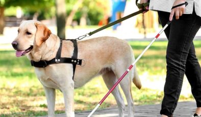 Bursa’da Engelli Bireyler İçin Tarihi Adım