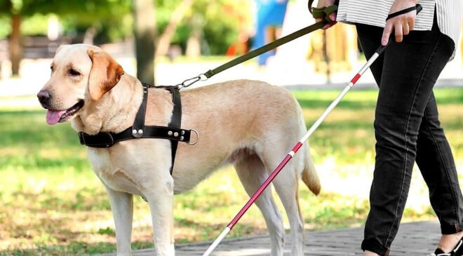 Bursa’da Engelli Bireyler İçin Tarihi Adım