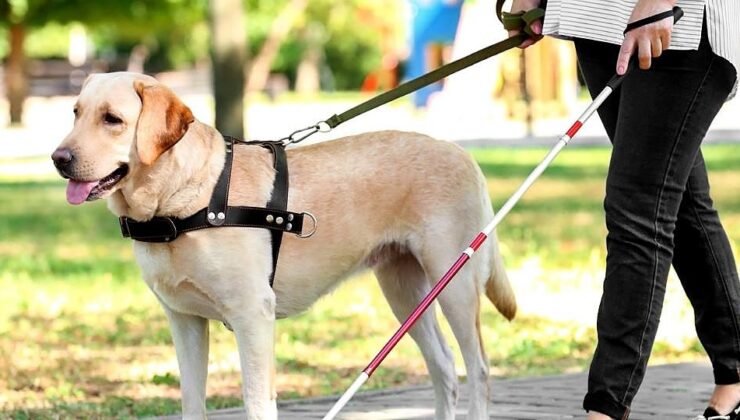 Bursa’da Engelli Bireyler İçin Tarihi Adım