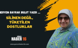 Silinen Değil, Tüketilen Dostluklar