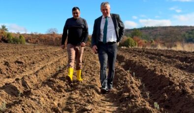 Harmancık Geleceğe Hazırlanıyor